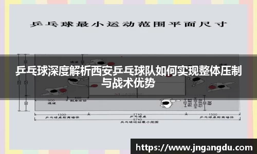 乒乓球深度解析西安乒乓球队如何实现整体压制与战术优势